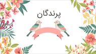 پاورپوینت درباره پرندگان