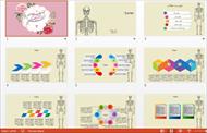 زیباترین قالب پاورپوینت حرفه ای اسکلت