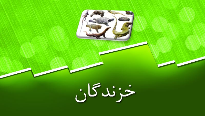 پاورپوینت خزندگان